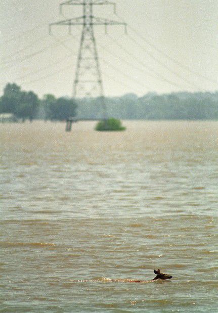 The Great Flood of 1993: July 10, 1993